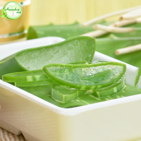 Lô hội (Nha đam)
