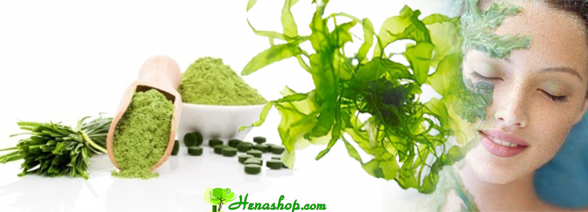 Bột tắm trắng Henashop - vẻ đẹp từ thiên nhiên