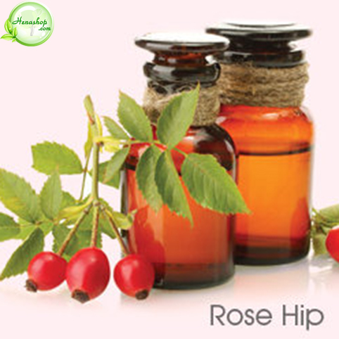 Dầu Rosehip